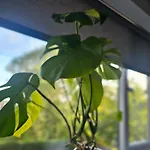 Luxury 3 Bed Next To Centre شقة