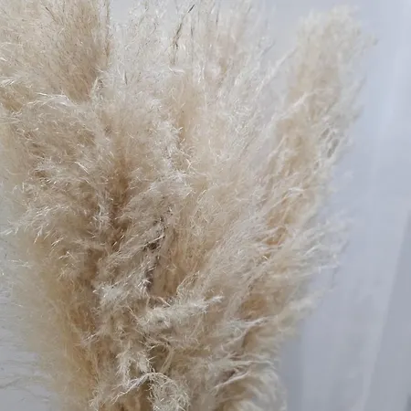 Apartamento Luxury 3 Bed Next To Centre