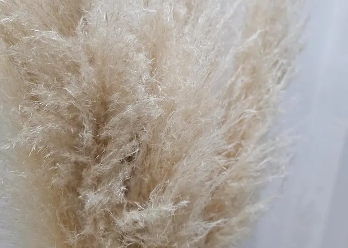 Apartamento Luxury 3 Bed Next To Centre